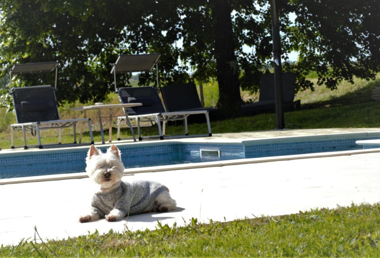 Le Shedeaux Villa Saint-Privat-des-Pres Luaran gambar